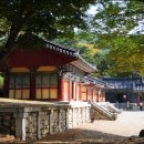 영천게이트볼장 이미지