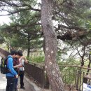 북악산-대사관저로-길상사-와룔그린공원-북촌한옥마을-광화문-청계천-종로5가닭한마리(1) 이미지
