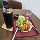 창원천 | 닫혔던 블로그 창을 살짝 열어보는 날, 브라운 핸즈에서 반추의 시간.