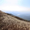 물결속으로 이미지