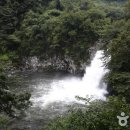 천제연폭포 이미지