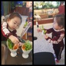 체리와 아쿠아파크(프리미엄 동물 체험카페)키즈카페 다녀온후기!