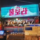 동틀때 | 동틀 때까지 달릴 수 있는 광안리술집 물보라 싱싱한 낙지 탕탕이는 주문 필수