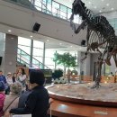 서대문자연사박물관 이미지