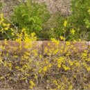 스프링카운티 자이아파트 이미지