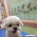 개네마을 이미지