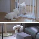 쭈쭈농장 이미지