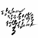 드림태권도 1관 이미지