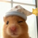 이스퍼 | 대전 이스퍼케이스 AFSC 방탈출 둔산동 신상 카페 내돈내산 솔직후기