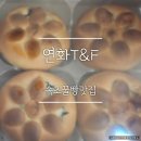 연화벌꿀 | 속초 선물용 디저트 찾는다면, 연꿀빵이 유명한 연화T&F