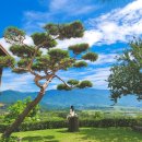 노고마주 이미지