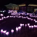 선운민박 이미지