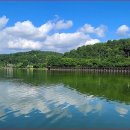 고복자연공원 수변 길 이미지