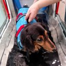 순창 동물병원 이미지