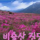 유가사 주차장(구) 이미지