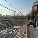 4975 | 이태원 녹사평역 시바견 카페 더미쓰리/ 애견카페 중 만족도 최고/ 입장료, 이용방법 솔직후기