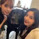 땡