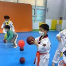 리틀태권도장 이미지
