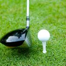 버디버디 스크린골프장 이미지