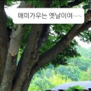 바지나라 이미지