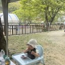 혜정농원영농조합법인 | 아이랑 가볼만한 곳 | 용인 한터농원 (동물 먹이주기 + 유정란 체험 + 소달구지 타기 등)