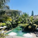 조아GYM | 발리 우붓 신상 가성비 숙소:: 더 하바 우붓 The Hava Ubud 이것만 빼면 완벽했다