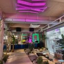 키친썬플라워 이미지