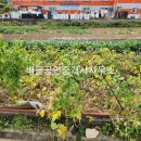 순천삼산초등학교 이미지