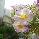 어반트 이미지