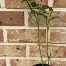 행복나눔 이미지