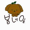 비비큐두정해링턴점 | 천안네일샵 봄네일 이달의아트문의