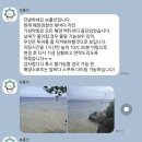 필리핀 보홀 여행 호핑, 나팔링 보홀션 시크릿 나팔링 투어 추천 후기