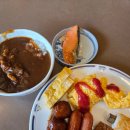 지성주유소 | 나의 여섯번째 여행지 도쿠시마 🇯🇵 (2)