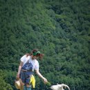 산양목장 Daum카페