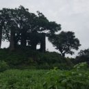 제주 이교동 일제군사시설 이미지