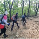 내곡동423 이미지