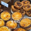 626 | 대전 자양동 빵집 ::: 동구 빵지순례 필수코스, 빵 한모금(주말, 내돈내산, 빵추천, 솔직후기)