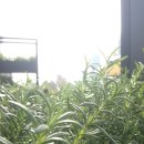 다니엘의료기기 이미지