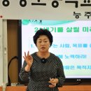 도곡중앙초등학교 이미지