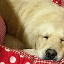 남은농장 이미지