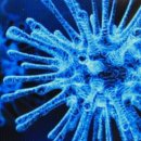 힐링 미니 이미지