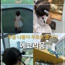 에코리움 | [동탄근교] 아이랑 가볼만한 곳｜ 무료로 즐기는 에코리움 후기
