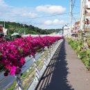 금산천 데크길 이미지