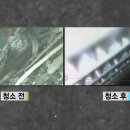 영크리닝 이미지