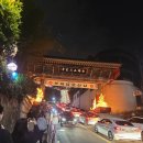 삼광사 | 부산 삼광사 연등축제 후기✨ 국내 최대 규모의 찬란한 야경 명소!