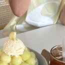 울산우리안약국 이미지