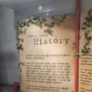 테지움사파리 | 제주 애월 가볼만한곳, 테디베어하우스 테지움 방문 후기 🐻✨