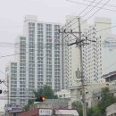 하단동103 이미지