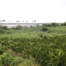 선흘1리보건진료소 이미지