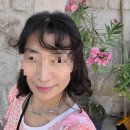 그린카파 | 튀르키예 자유여행 3일차 : 그린투어 이용 후기